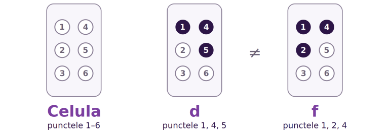 Celula Braille cu punctele numerotate de la 1 la 6, așezate în două coloane: 1, 2, 3 în stânga și 4, 5, 6 în dreapta. Alături, litera d, cu punctele 1, 4 și 5, și litera f, cu punctele 1, 2 și 4. Cele două litere diferă printr-un singur punct.