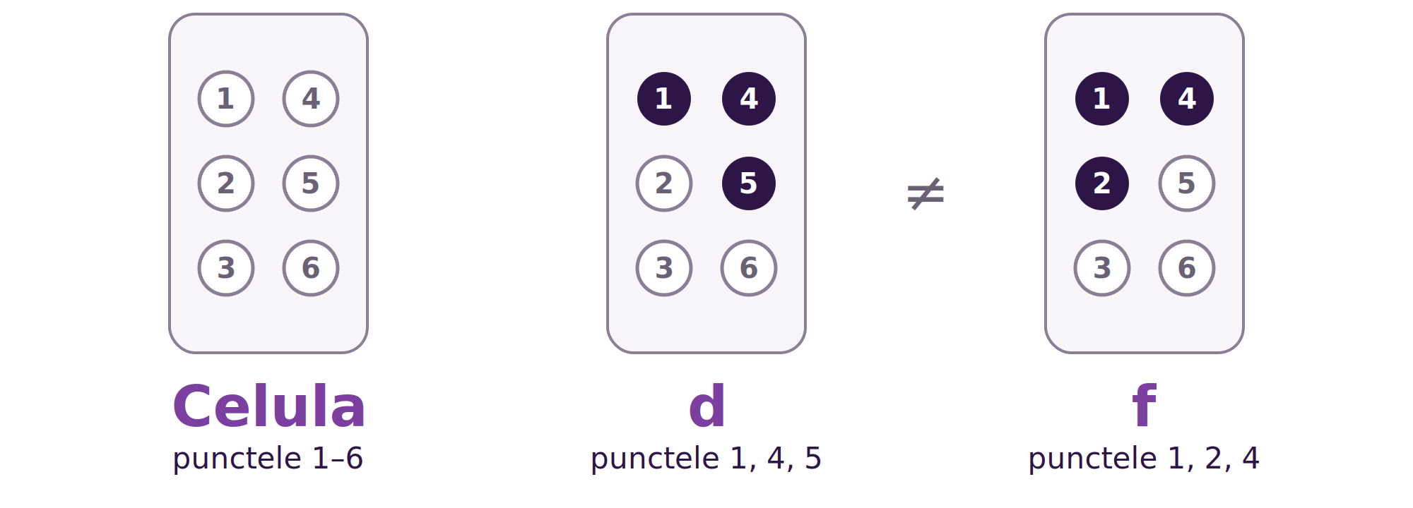 Celula Braille cu punctele numerotate de la 1 la 6, așezate în două coloane: 1, 2, 3 în stânga și 4, 5, 6 în dreapta. Alături, litera d, cu punctele 1, 4 și 5, și litera f, cu punctele 1, 2 și 4. Cele două litere diferă printr-un singur punct.